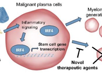 Targeting the Undruggable in Multiple Myeloma